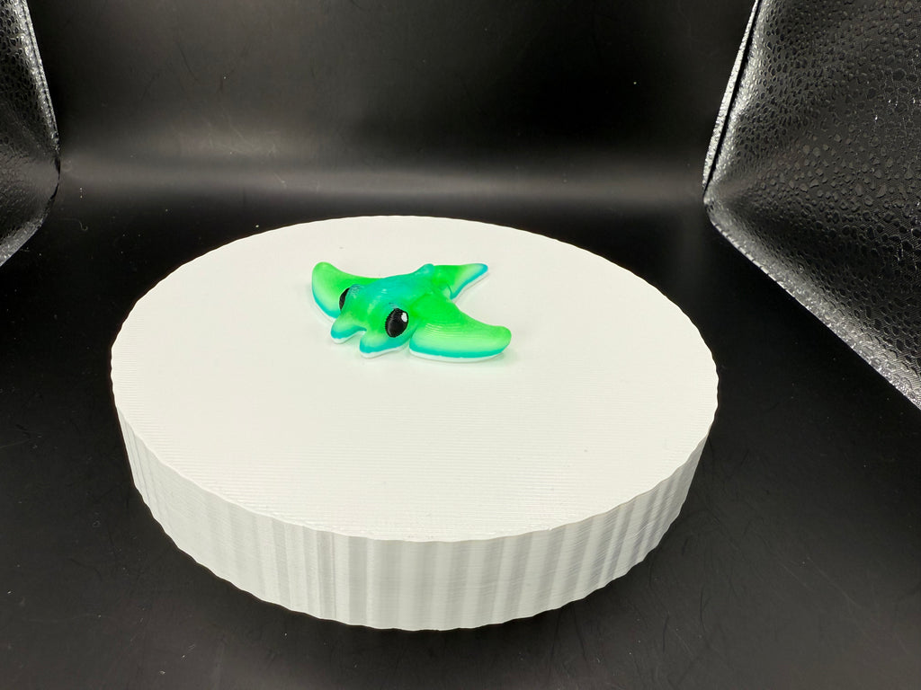 Stingray Coral 3D Mini