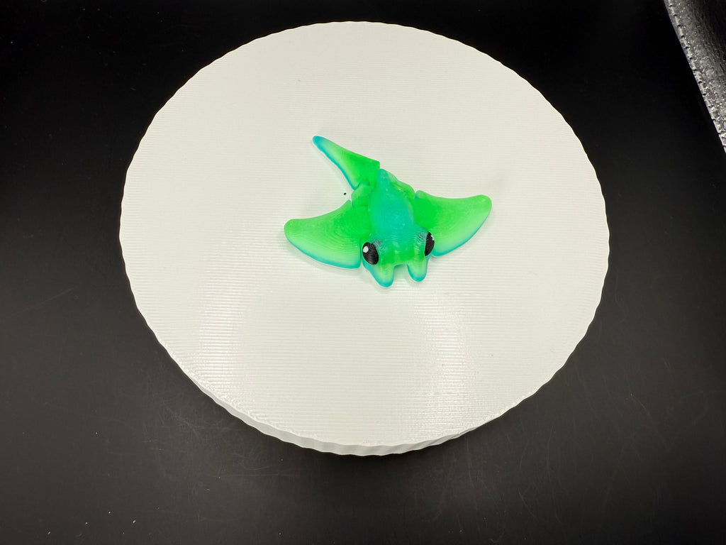 Stingray Coral 3D Mini