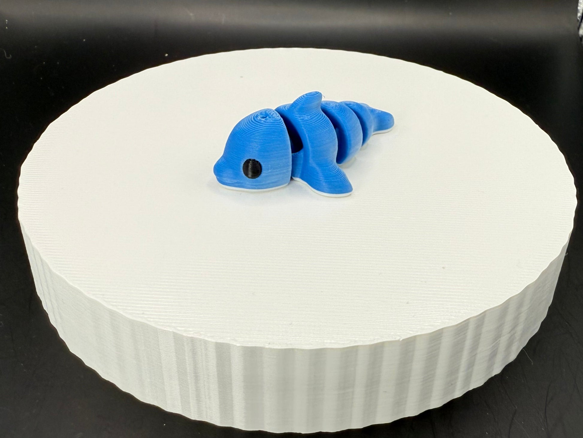 Dolphin 3D Mini