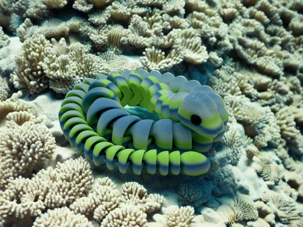 Ocean Rain Snake