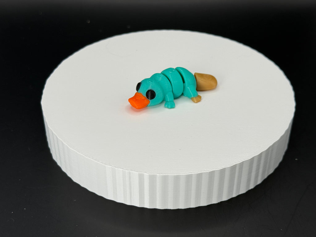 Platapus 3D Mini