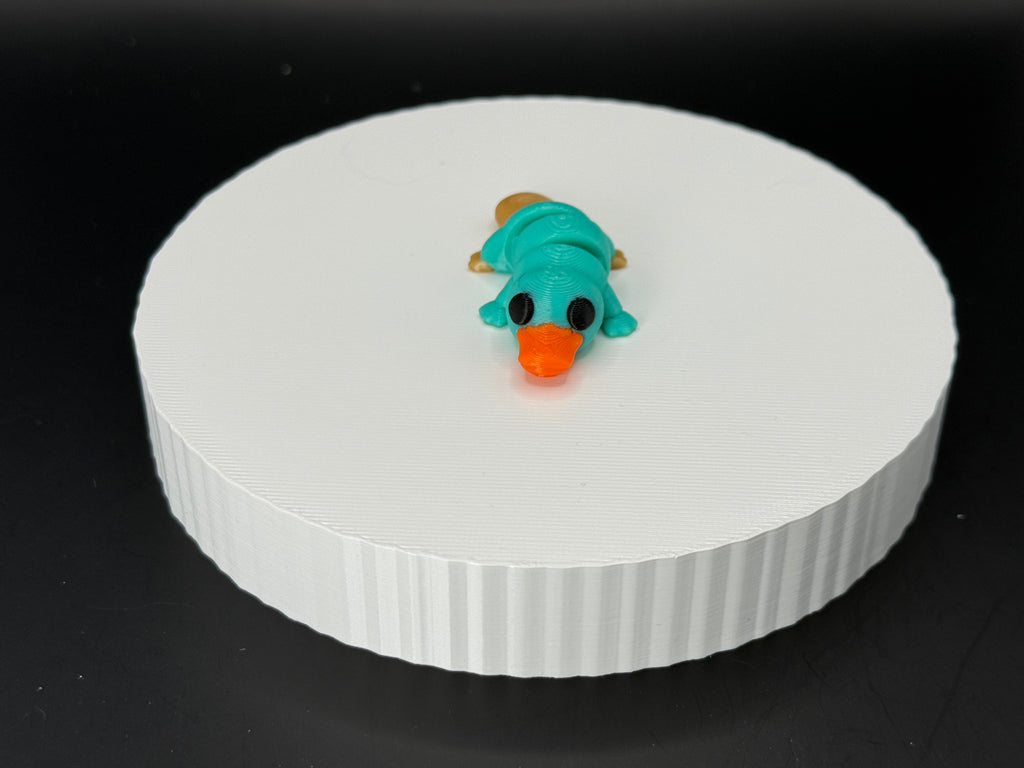 Platapus 3D Mini