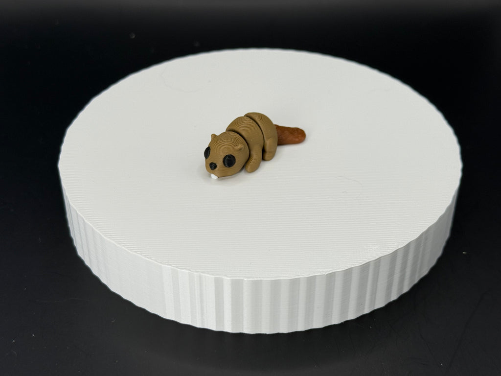 Beaver 3D Mini