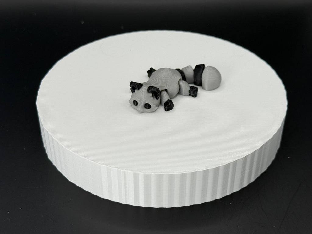 Raccoon 3D Mini