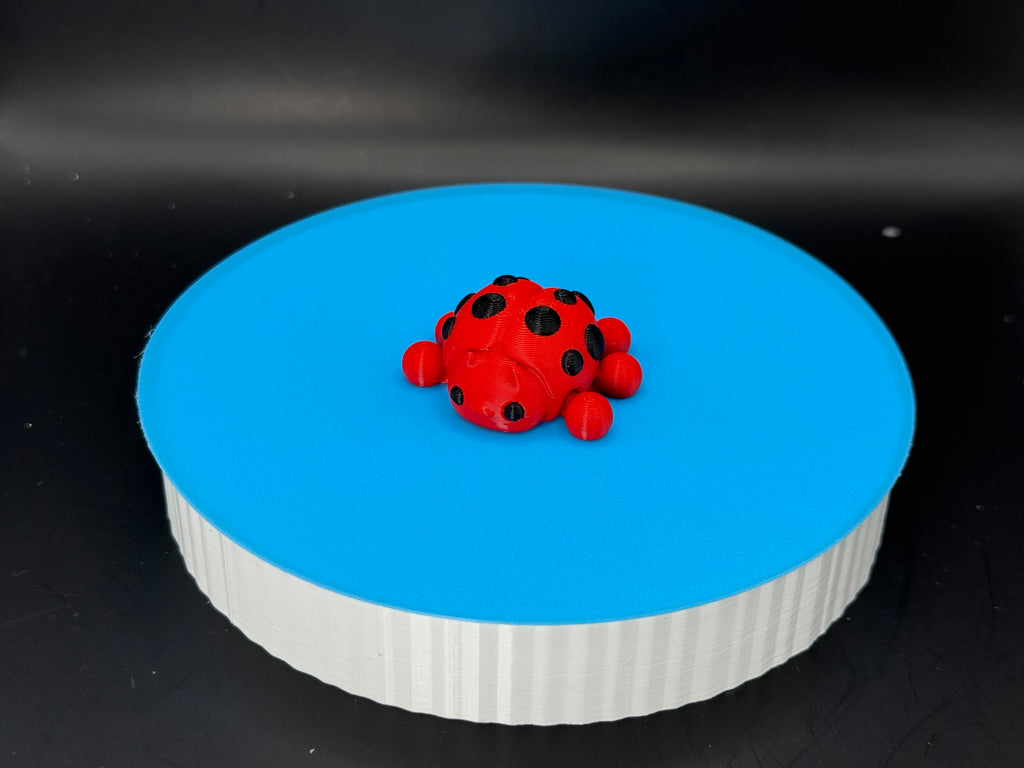 Ladybug 3D Mini